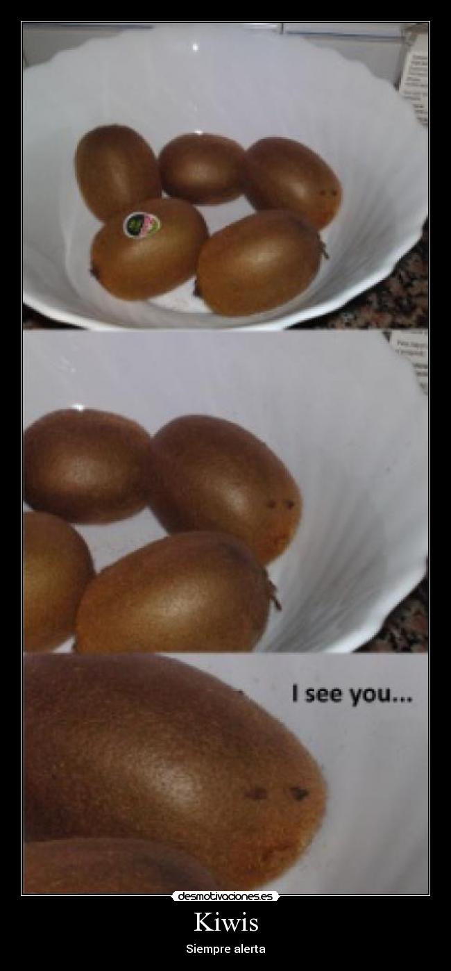 Kiwis - 