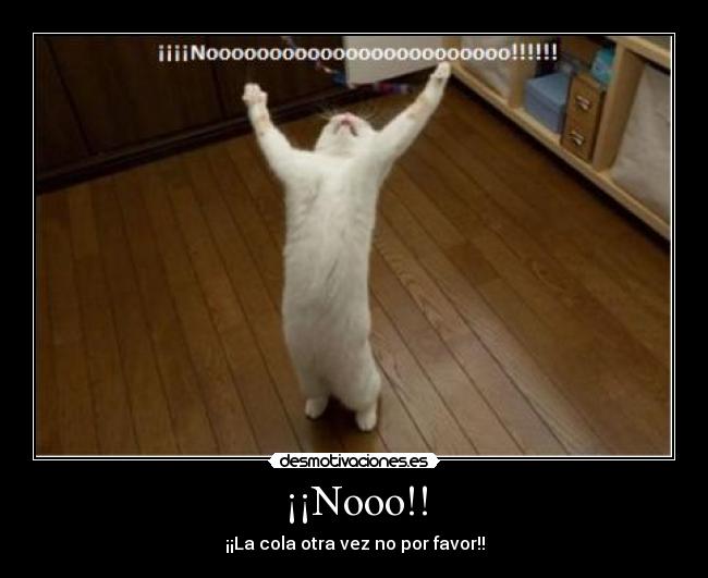 ¡¡Nooo!! - 