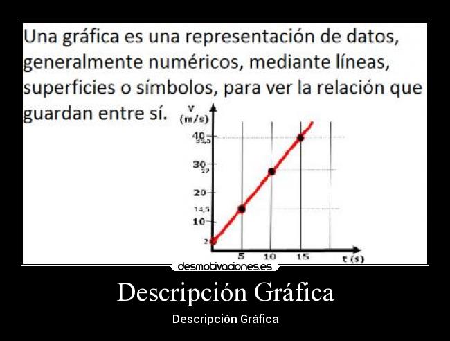 Descripción Gráfica -
