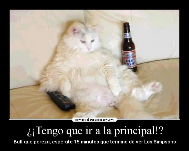 ¿¡Tengo que ir a la principal!? - Buff que pereza, espérate 15 minutos que termine de ver Los Simpsons