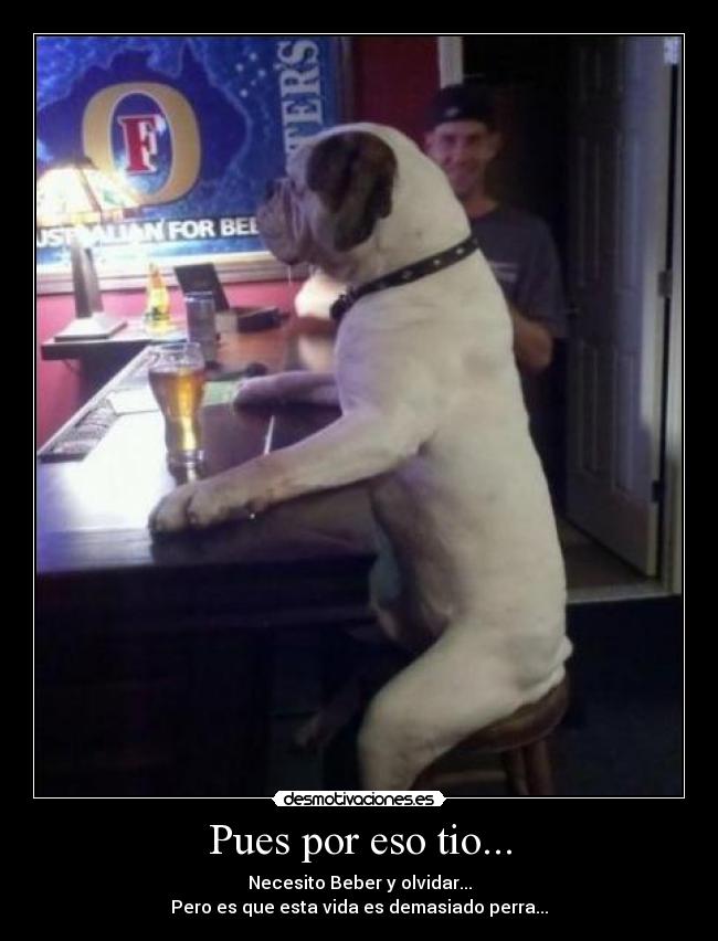 Pues por eso tio... - Necesito Beber y olvidar...
Pero es que esta vida es demasiado perra...