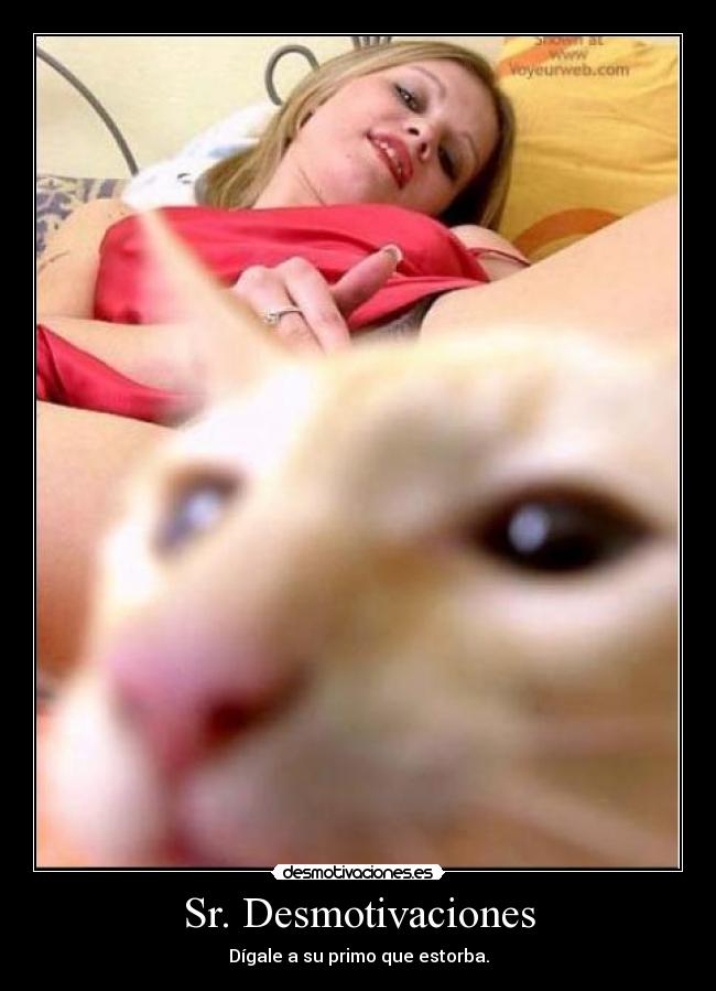 Sr. Desmotivaciones - Dígale a su primo que estorba.