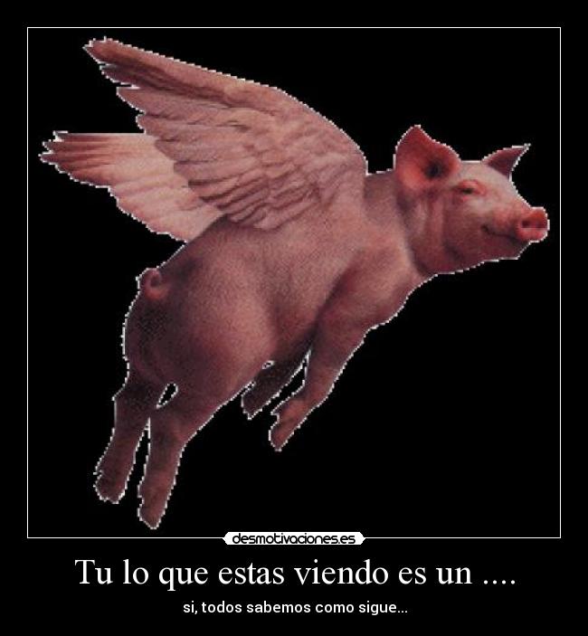 Tu lo que estas viendo es un .... - si, todos sabemos como sigue...