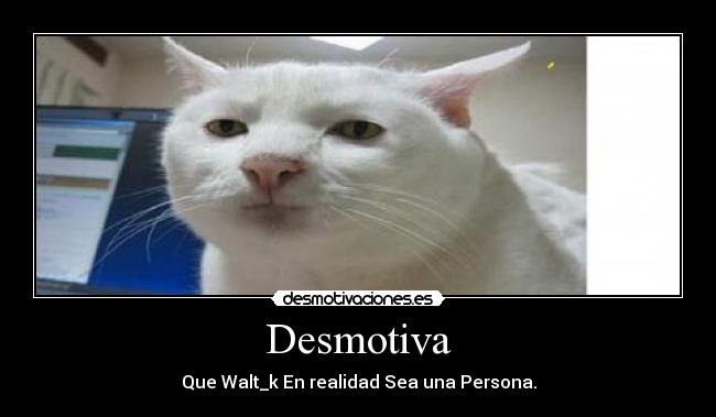 Desmotiva - Que Walt_k En realidad Sea una Persona.