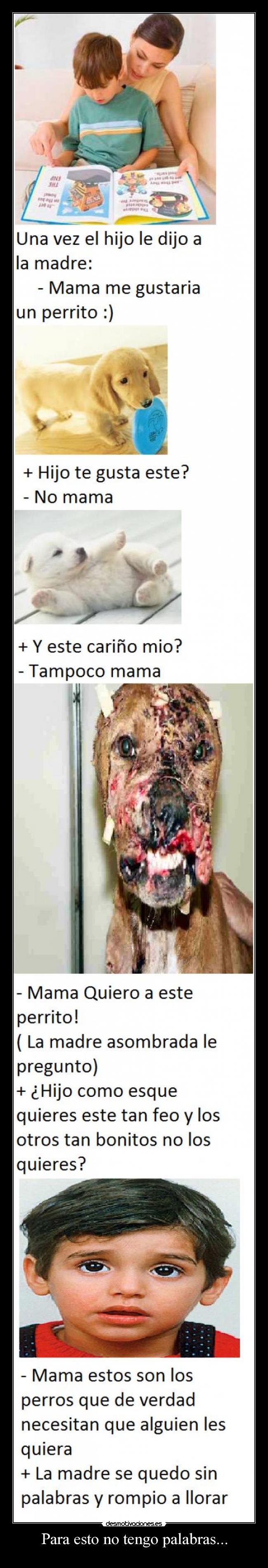 Para esto no tengo palabras... -