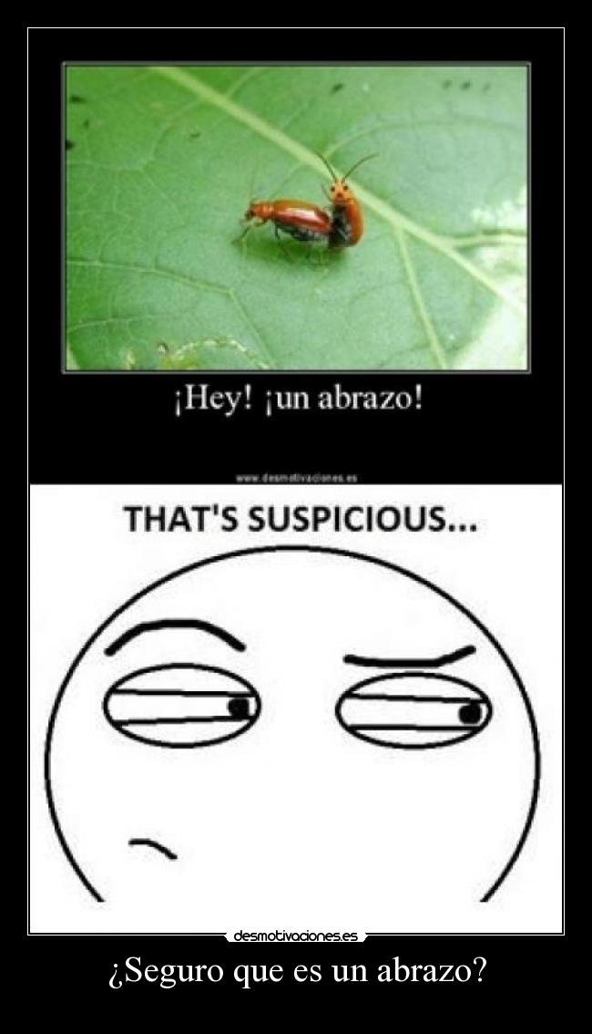 ¿Seguro que es un abrazo? -