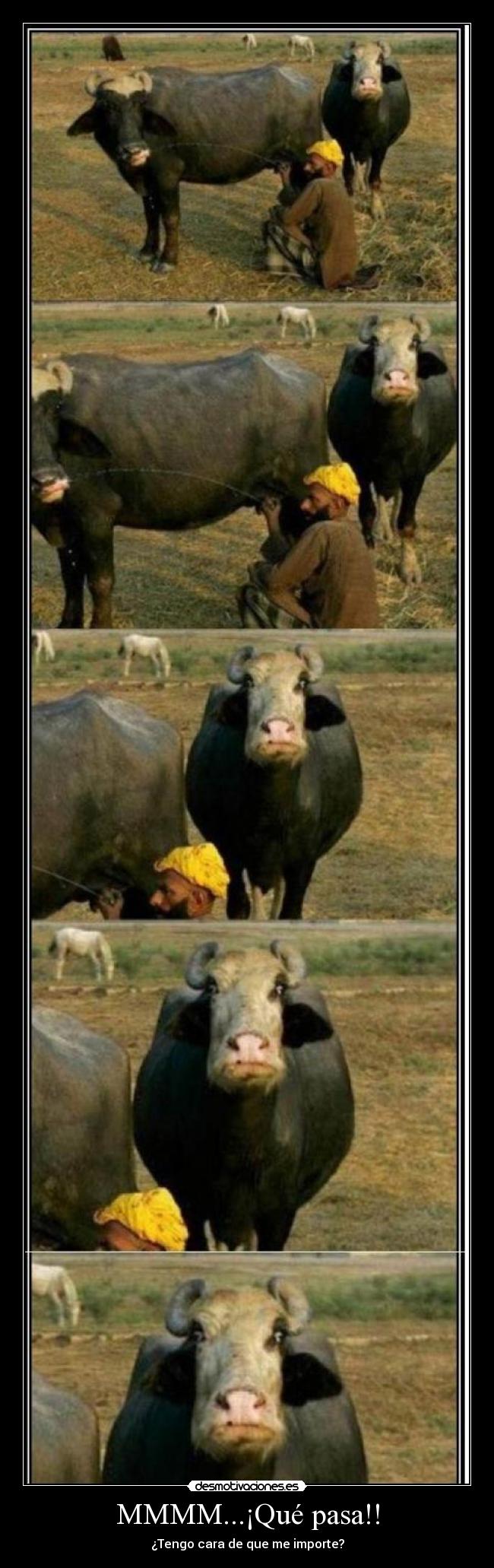 MMMM...¡Qué pasa!! -