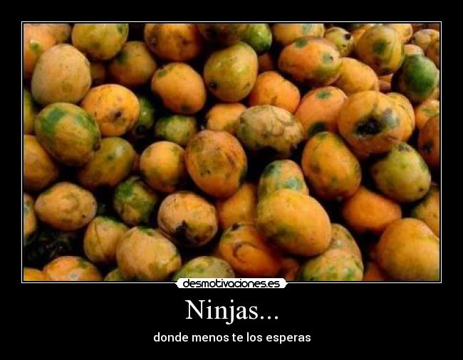 Ninjas... -