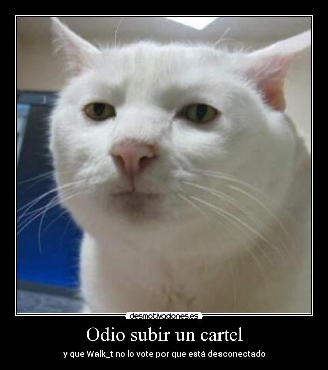 carteles odio quemalasuerte walt_k desmotivacion cartel voto desmotivaciones
