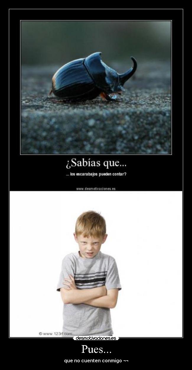 Pues... - que no cuenten conmigo ¬¬