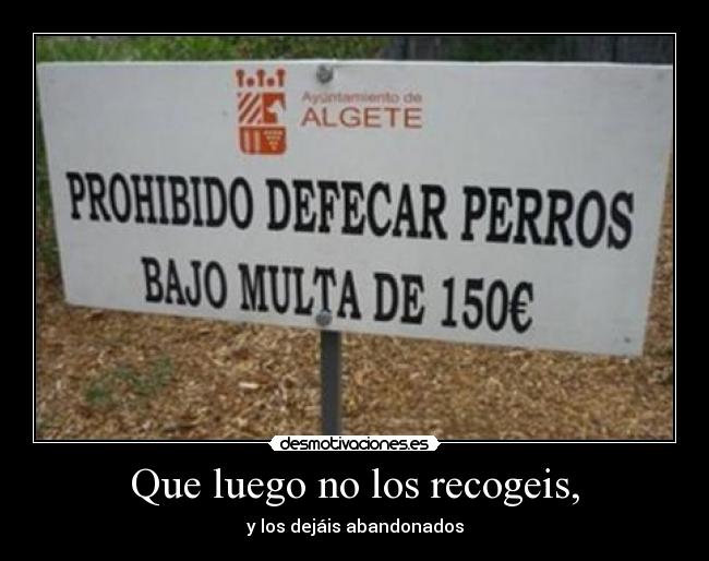 Que luego no los recogeis, - y los dejáis abandonados