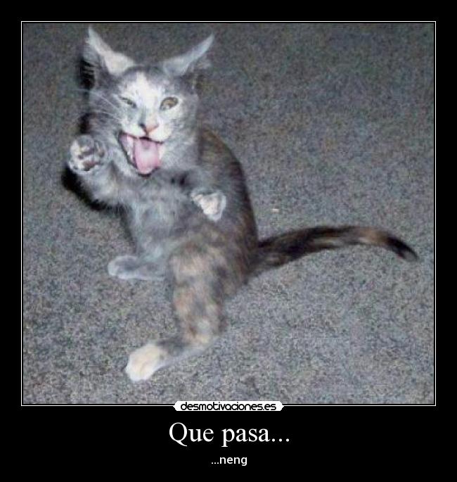 Que pasa... -