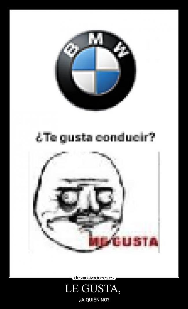 LE GUSTA,  - 
