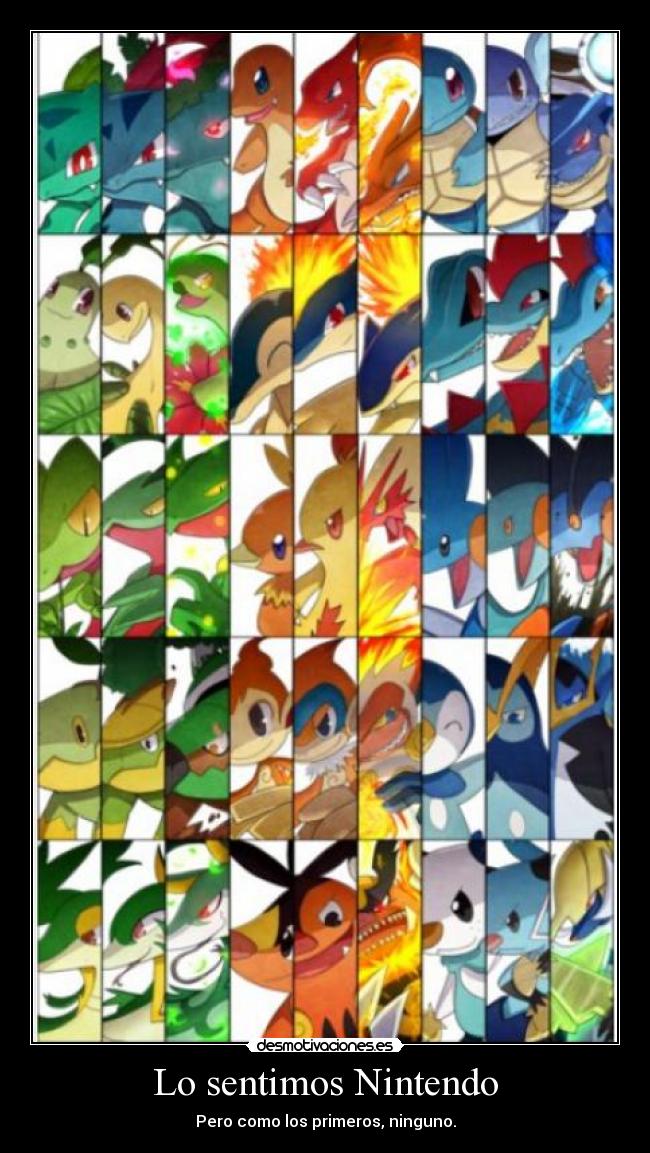 Lo sentimos Nintendo -