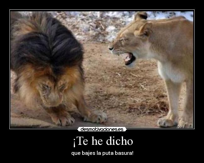 ¡Te he dicho - 