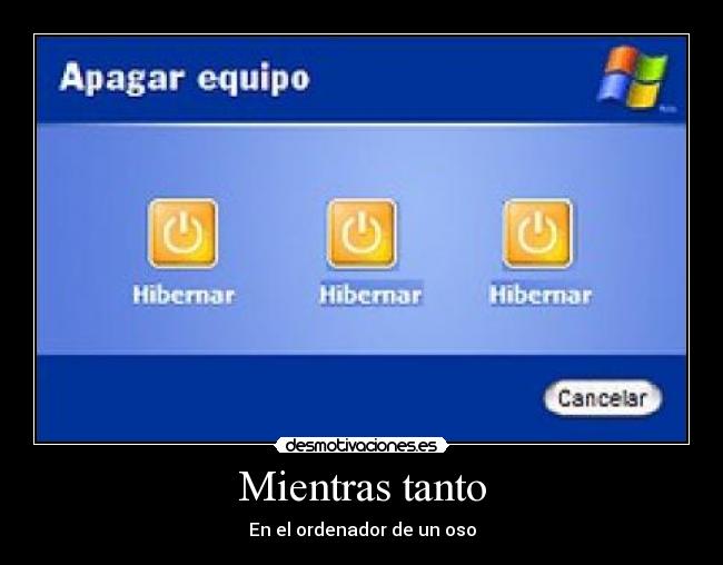 Mientras tanto - En el ordenador de un oso