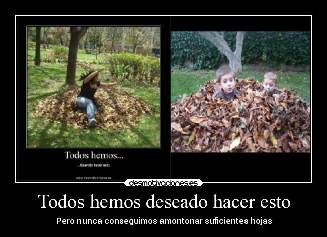 Todos hemos deseado hacer esto - Pero nunca conseguimos amontonar suficientes hojas