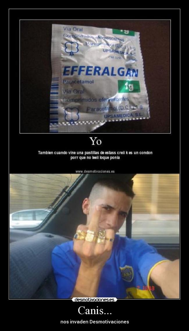 Canis... - nos invaden Desmotivaciones