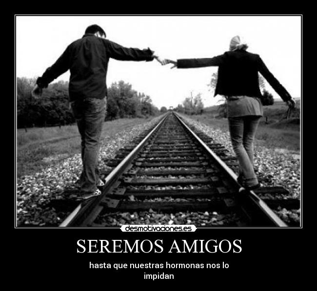 carteles amigos amigos hormonas yoquecojonessequeconoponeraquijoder desmotivaciones