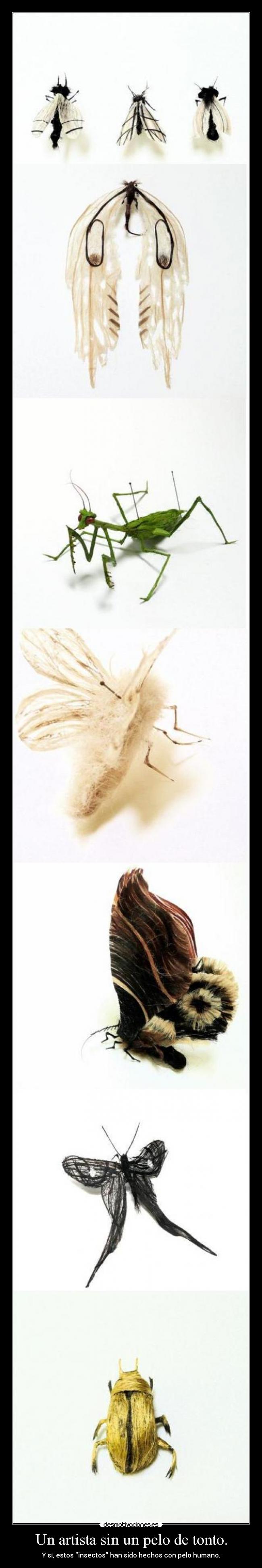 Un artista sin un pelo de tonto. - Y sí, estos insectos han sido hechos con pelo humano.