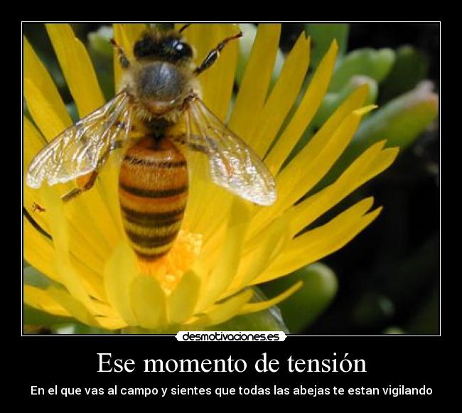 Ese momento de tensión -