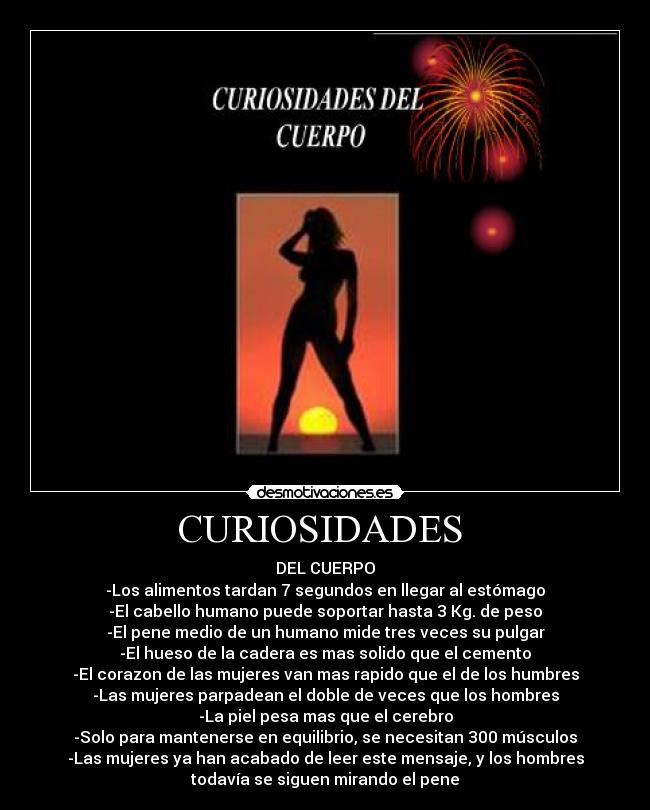CURIOSIDADES -