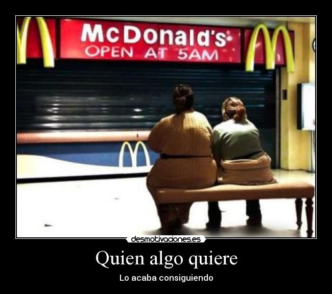 carteles gatoo desmotivaciones