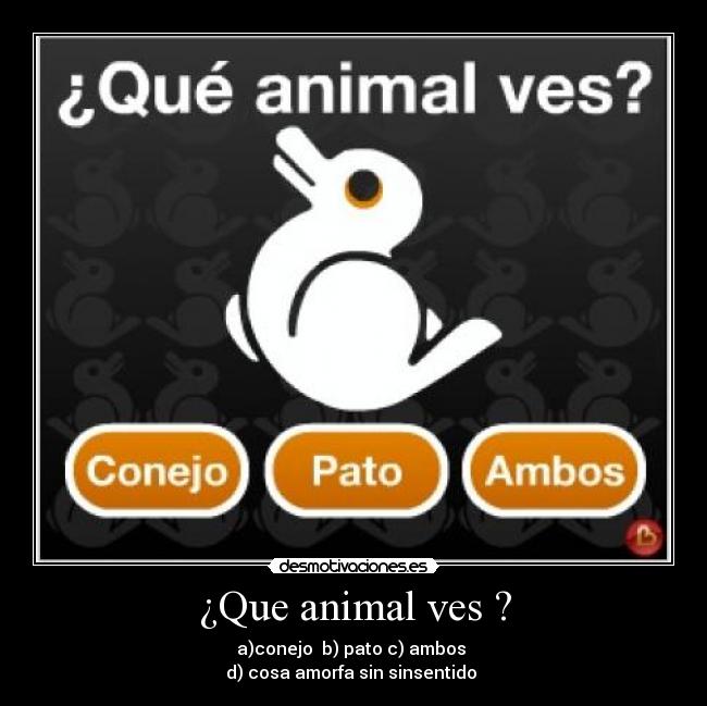 ¿Que animal ves ? -
