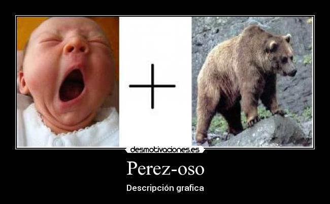 Perez-oso - Descripción grafica