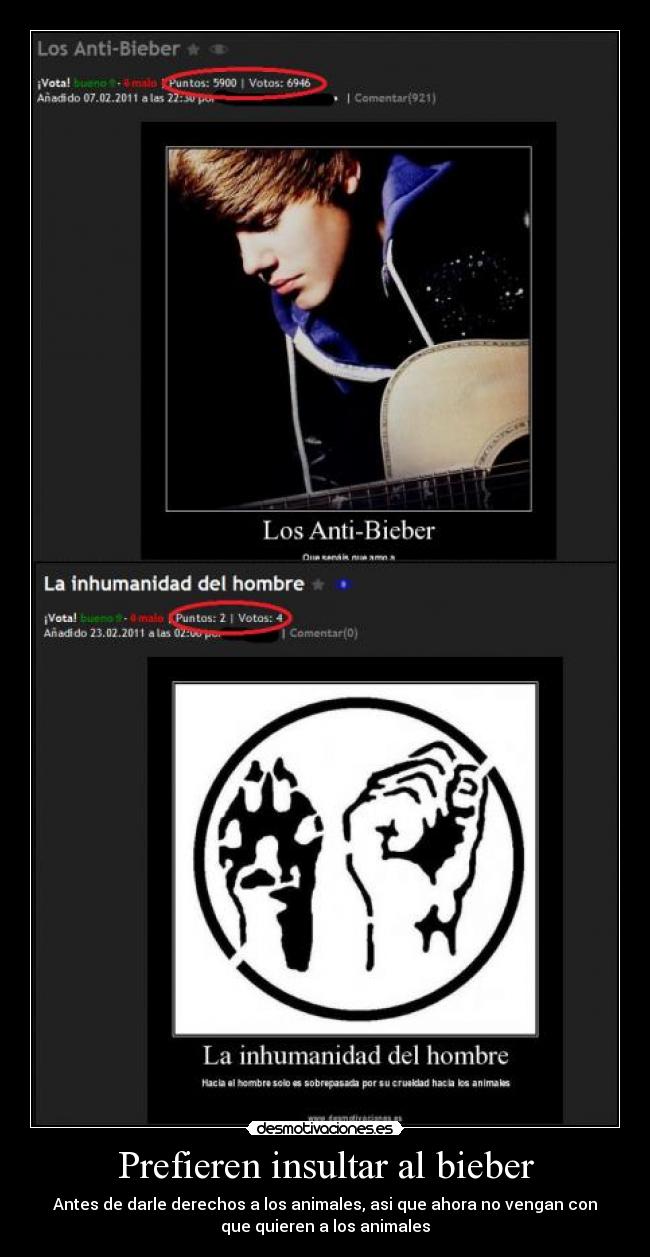 Prefieren insultar al bieber - 