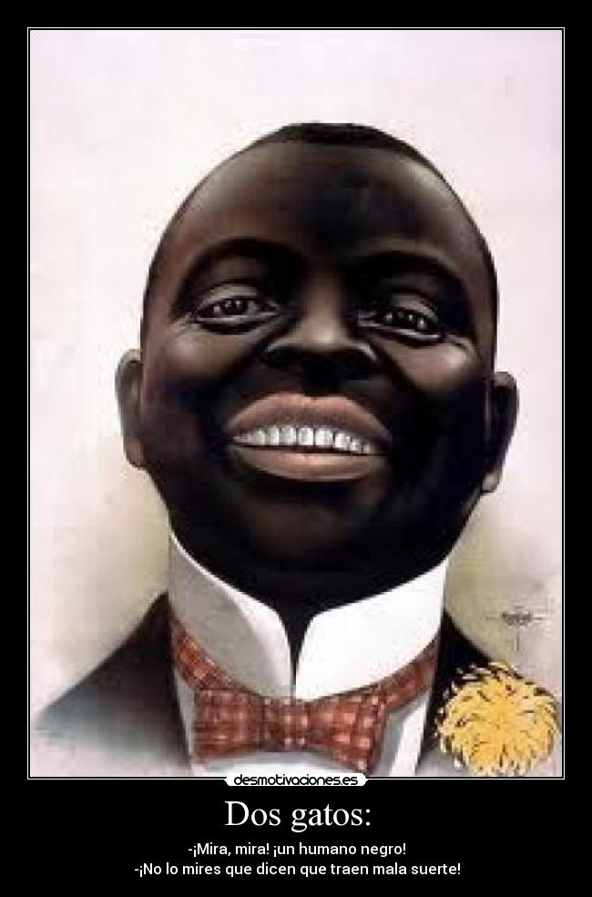 Dos gatos: -