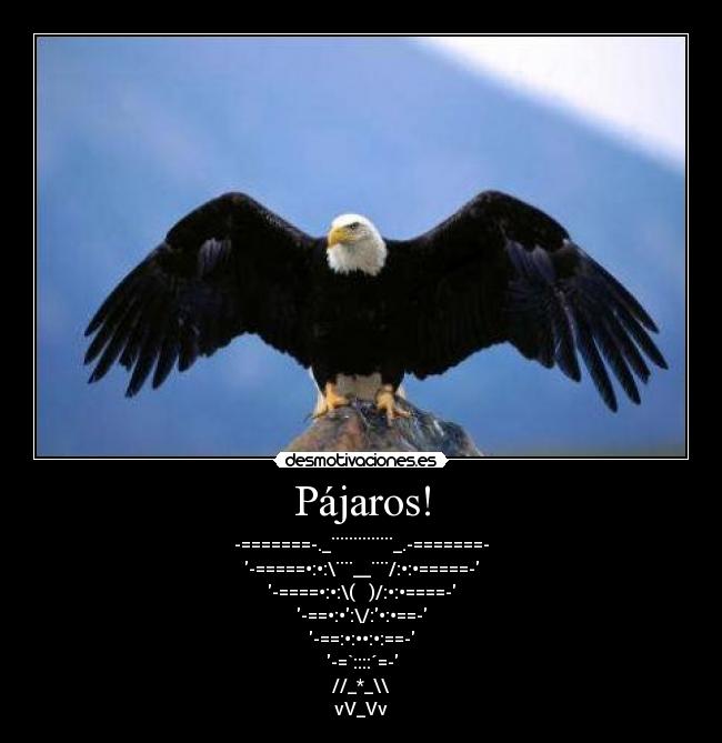 Pájaros! -