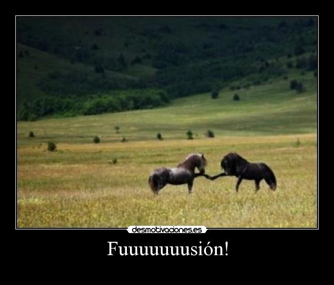Fuuuuuuusión! -