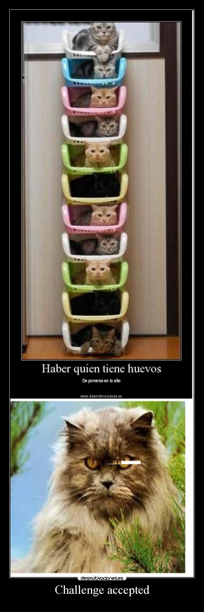 Challenge accepted - 