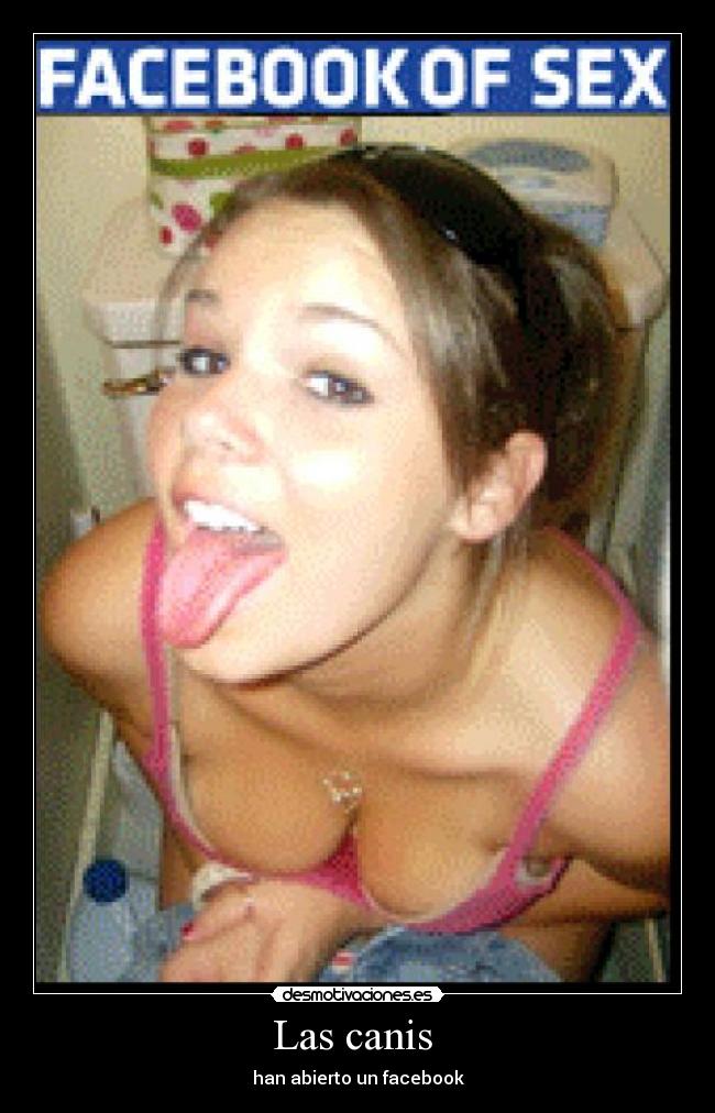 Las canis - han abierto un facebook