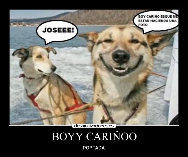 BOYY CARIÑOO - PORTADA
