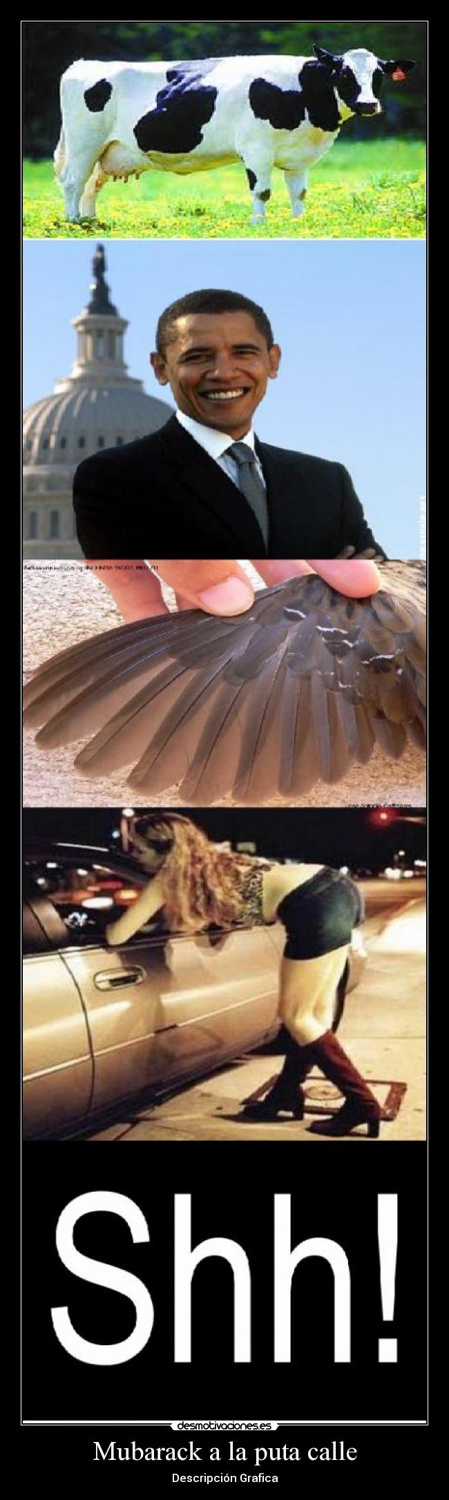 Mubarack a la puta calle - 