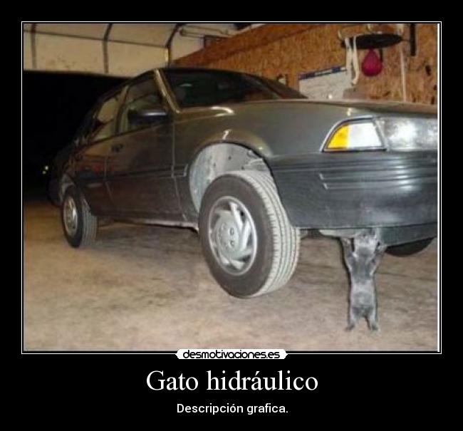 Gato hidráulico - Descripción grafica.
