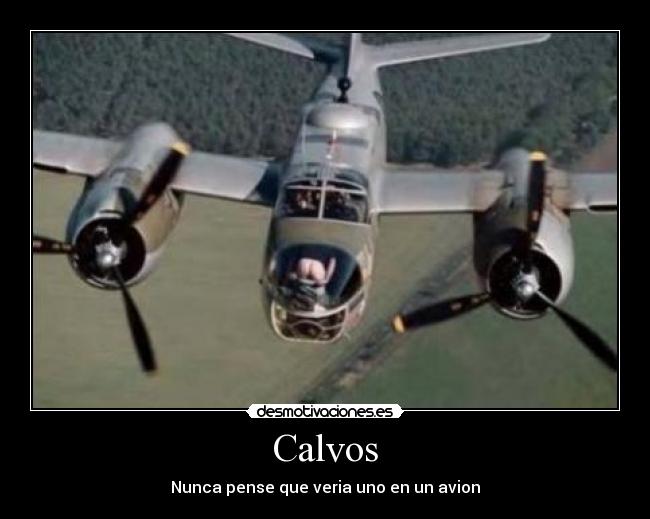 Calvos - 
