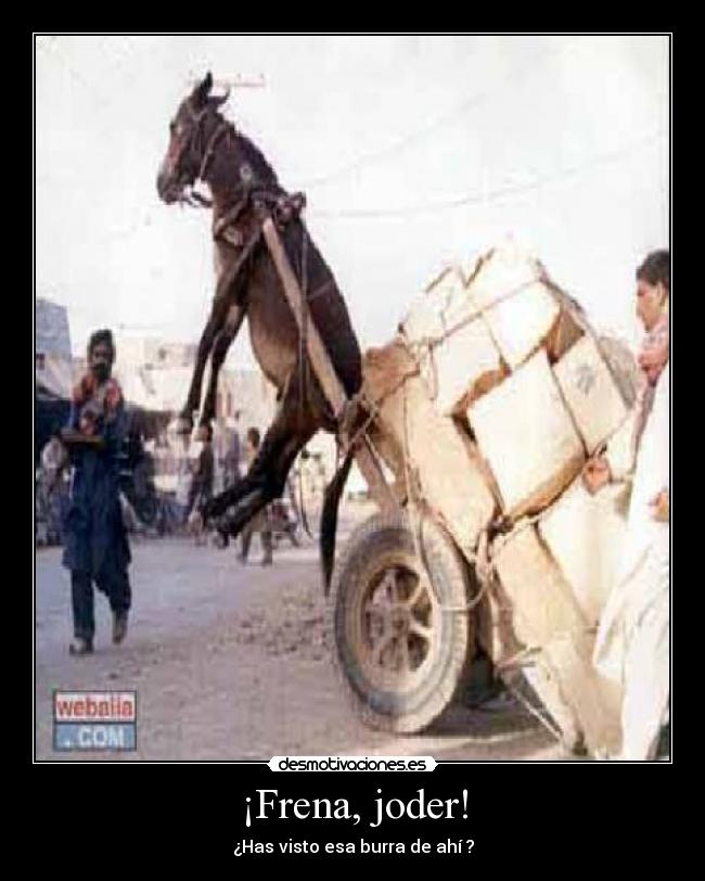 ¡Frena, joder! - ¿Has visto esa burra de ahí ?
