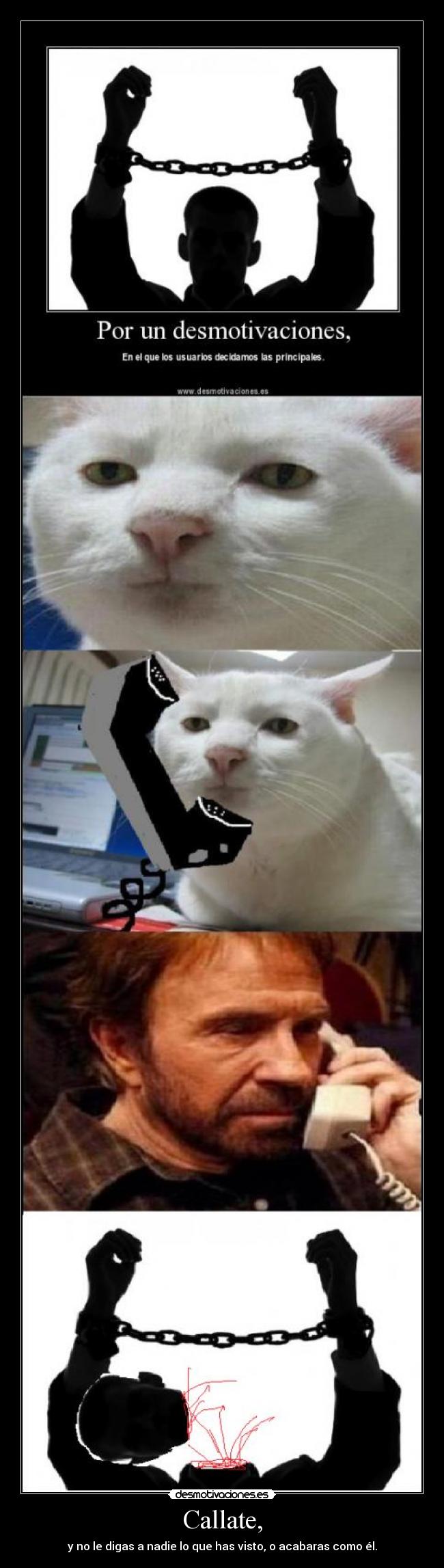carteles callate desmotivaciones