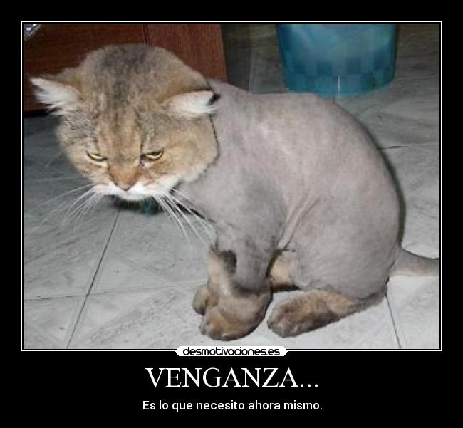 VENGANZA... - Es lo que necesito ahora mismo.