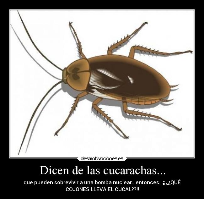 carteles cucarachas desmotivaciones