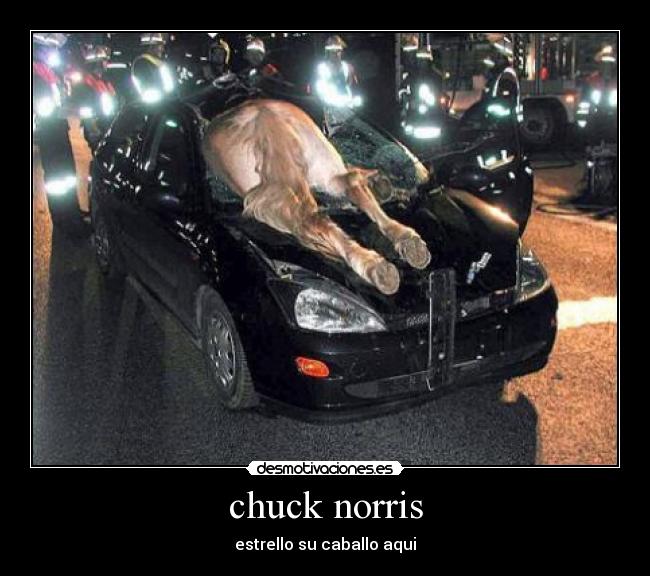 chuck norris - 