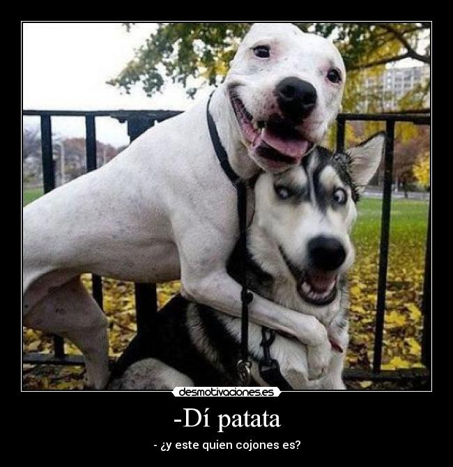-Dí patata - - ¿y este quien cojones es?