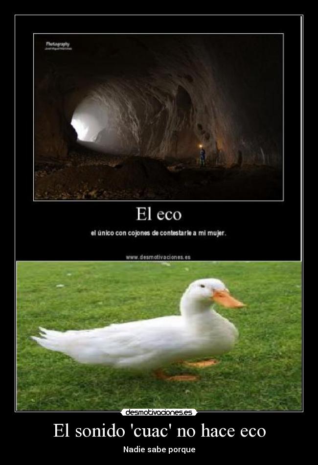 El sonido cuac no hace eco - Nadie sabe porque