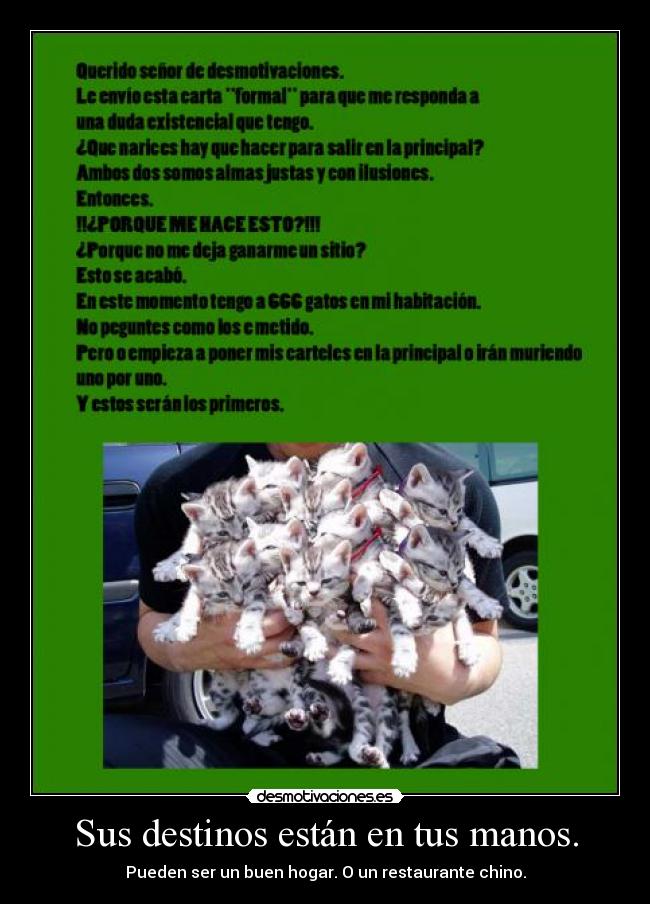 Sus destinos están en tus manos. - Pueden ser un buen hogar. O un restaurante chino.