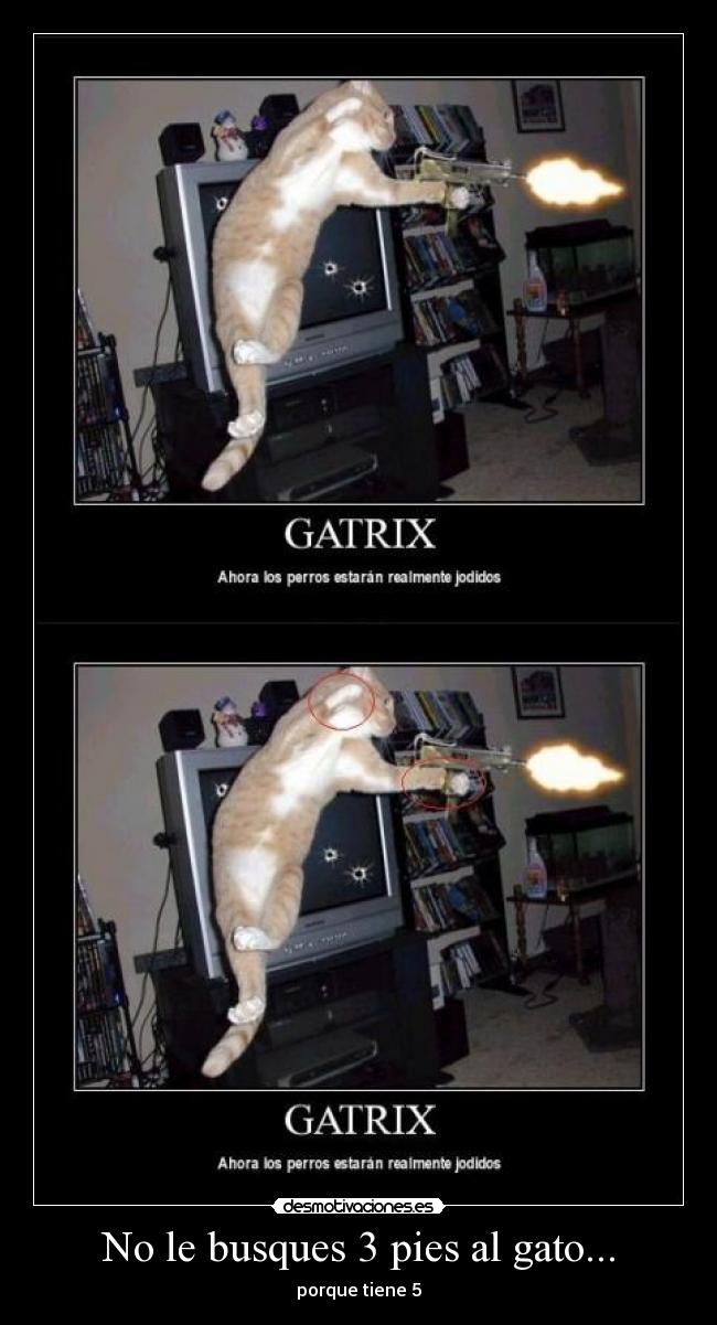 No le busques 3 pies al gato... - porque tiene 5