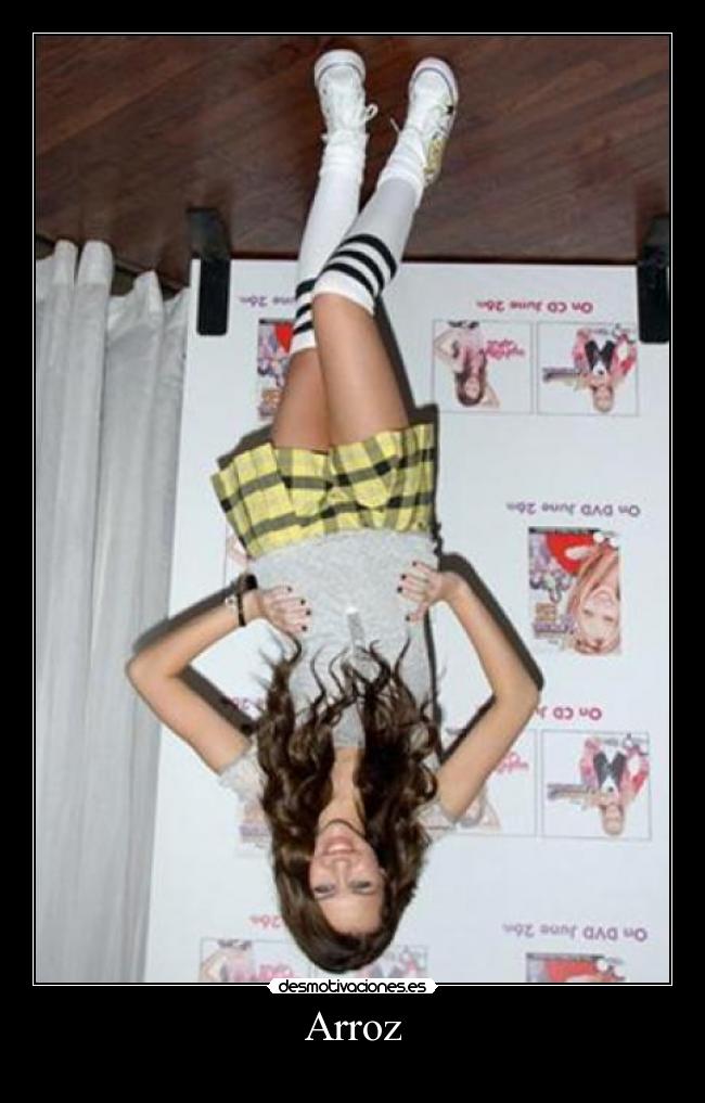 Arroz -