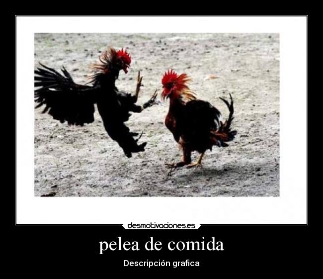 pelea de comida - 